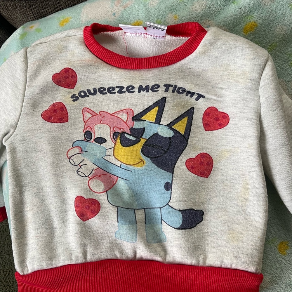 Bluey Valentines Day sweater